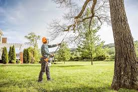 Best Firewood Processing and Delivery  in Hattiesburg, MS